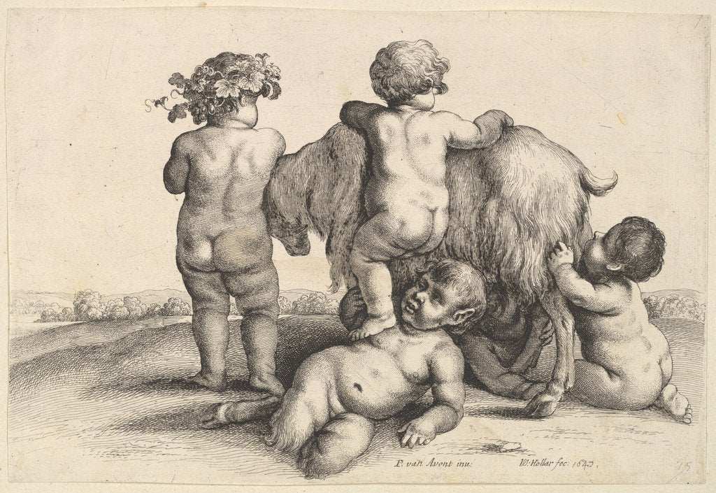Detail of Four boys, a young satyr and a goat, 1647 by Wenceslaus Hollar