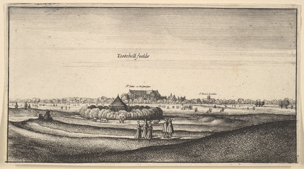 Detail of Tootehill fields, 1625-77 by Wenceslaus Hollar