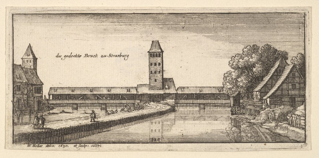 Detail of Strasbourg, 1665 by Wenceslaus Hollar