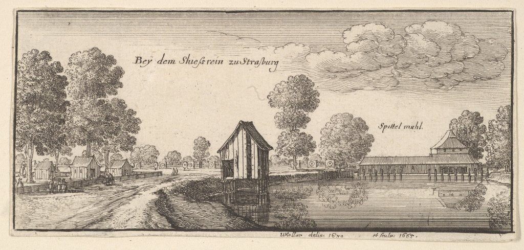 Detail of Strasbourg, 1665 by Wenceslaus Hollar