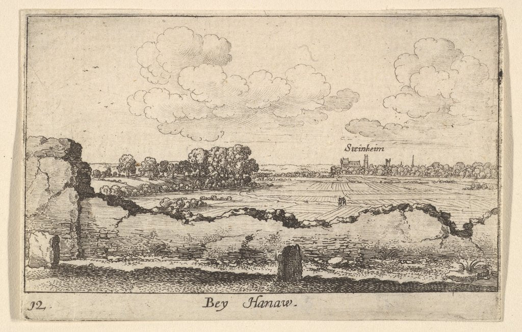 Detail of Hanau, 1635 by Wenceslaus Hollar