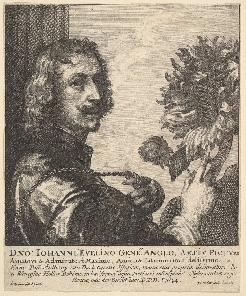 Detail of Sir Anthony van Dyck with a sunflower, 1644 by Wenceslaus Hollar