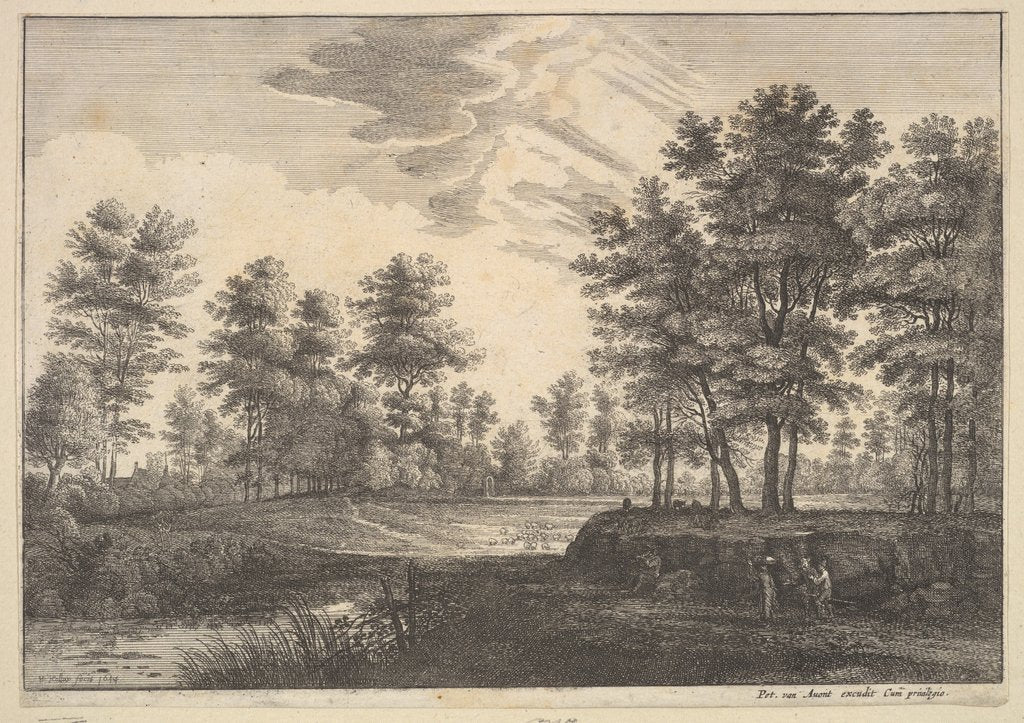 Wooded Landscape, 1644 by Wenceslaus Hollar