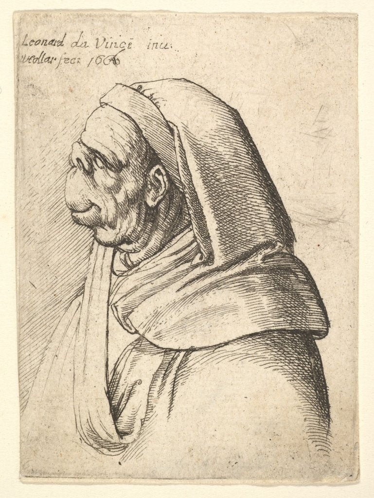 Detail of Bust of a man with a small turned-up nose and very high upper lip, wearing hood, in profil…, 1666 by Wenceslaus Hollar