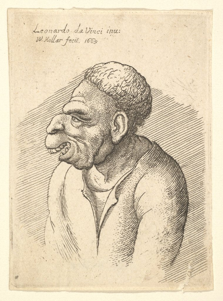 Detail of Bust of a man with hooked nose, prominent upper lip, open mouth and short curly hair…, 1665 by Wenceslaus Hollar
