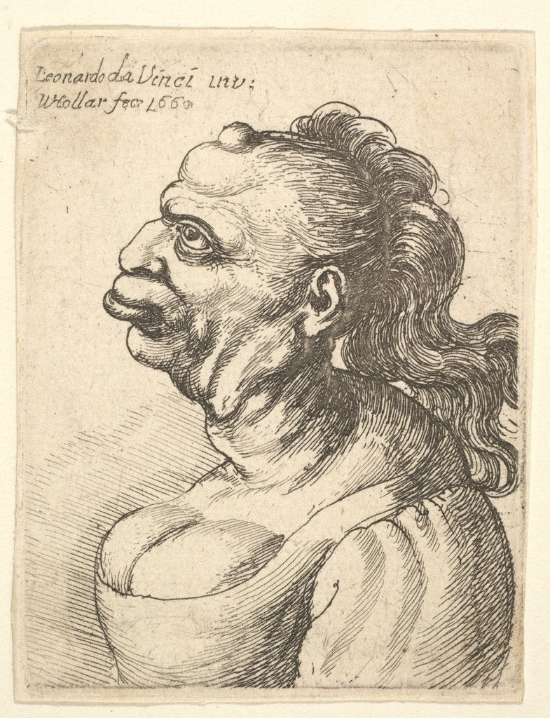 Detail of Bust of a woman wearing low-cut dress, with protruding lipd, growth on her forehead, promi…, 1660 by Wenceslaus Hollar