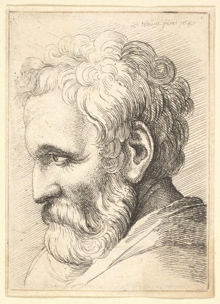 Detail of Bearded old man, 1645 by Wenceslaus Hollar