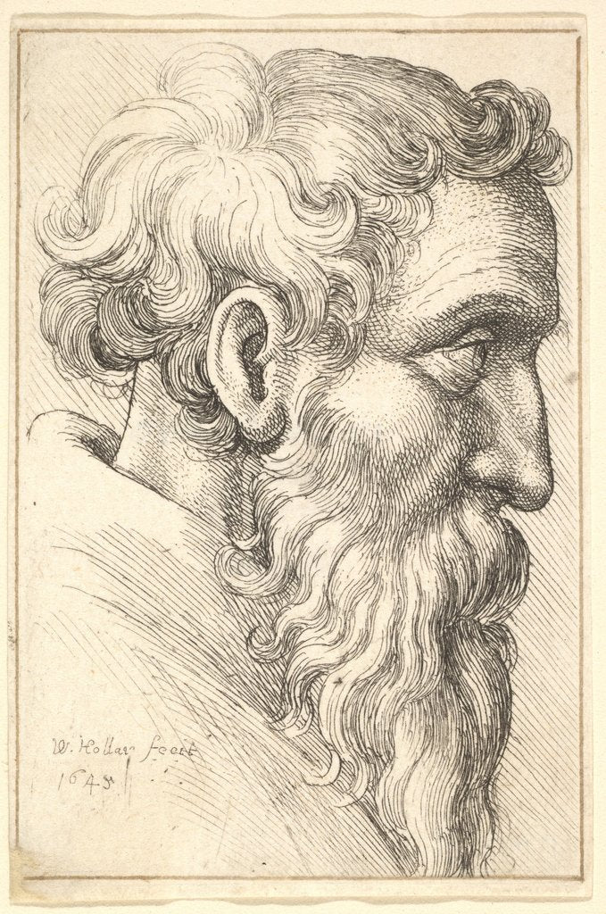 Detail of Bearded old man in profile to right, 1645 by Wenceslaus Hollar