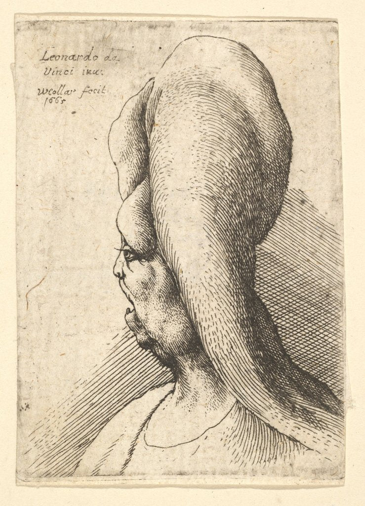 Detail of Bust of a deformed old woman with one tooth, facing left, 1665 by Wenceslaus Hollar
