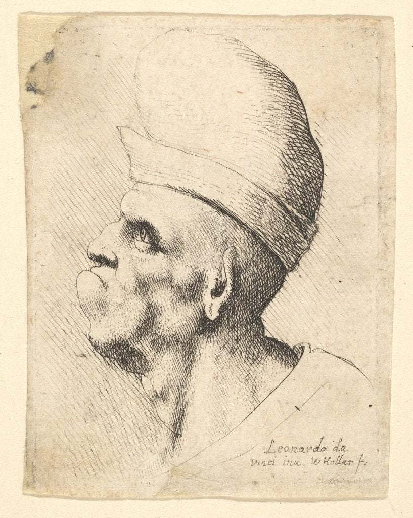 Detail of Bust of a deformed man wearing a bulbous hat in profile to the left, 1625-77 by Wenceslaus Hollar
