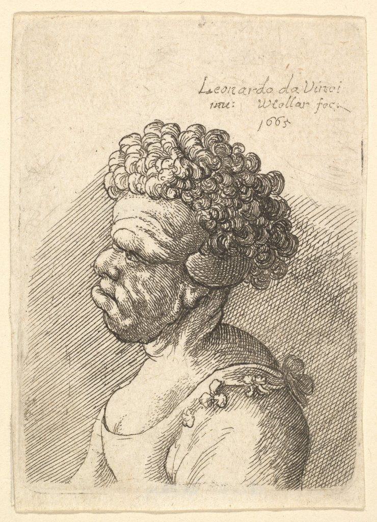 Detail of Bust of a deformed woman with curly hair in profile to the left, 1665 by Wenceslaus Hollar