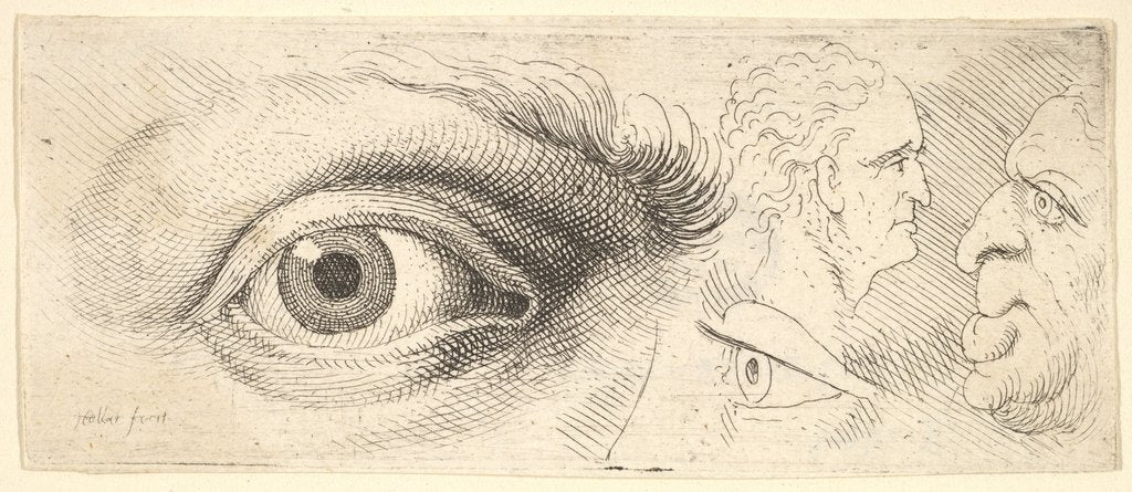 Detail of Two eyes and two heads, 1644-52 by Wenceslaus Hollar