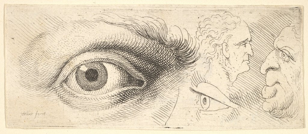 Two eyes and two heads, 1644-52 by Wenceslaus Hollar