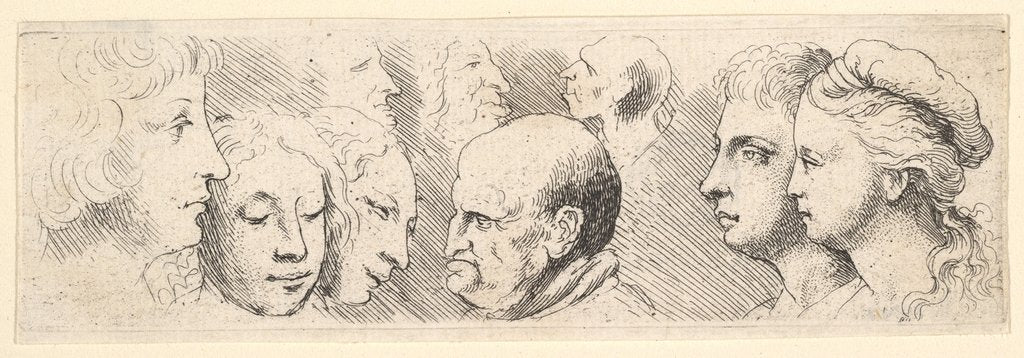 Detail of Head studies, 1644-52 by Wenceslaus Hollar