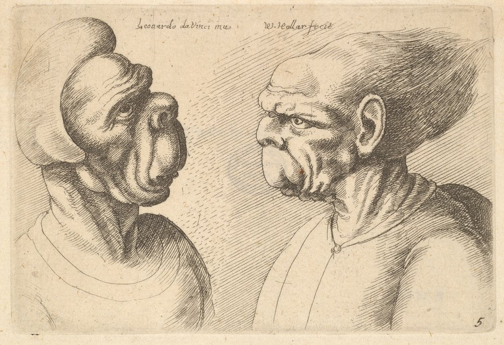 Detail of Two deformed heads facing inwards, 1625-77 by Wenceslaus Hollar