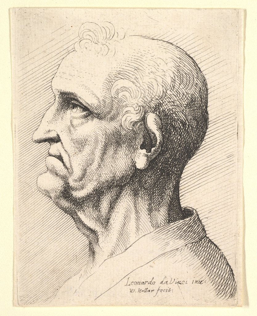 Detail of Head of an old man with tufts of curly hair around ear in profile to left, 1644-52 by Wenceslaus Hollar