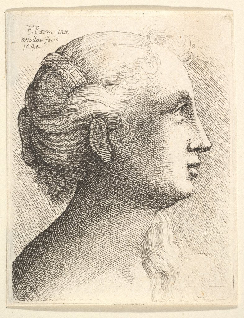 Detail of Head of a young woman in profile to right, 1645 by Wenceslaus Hollar