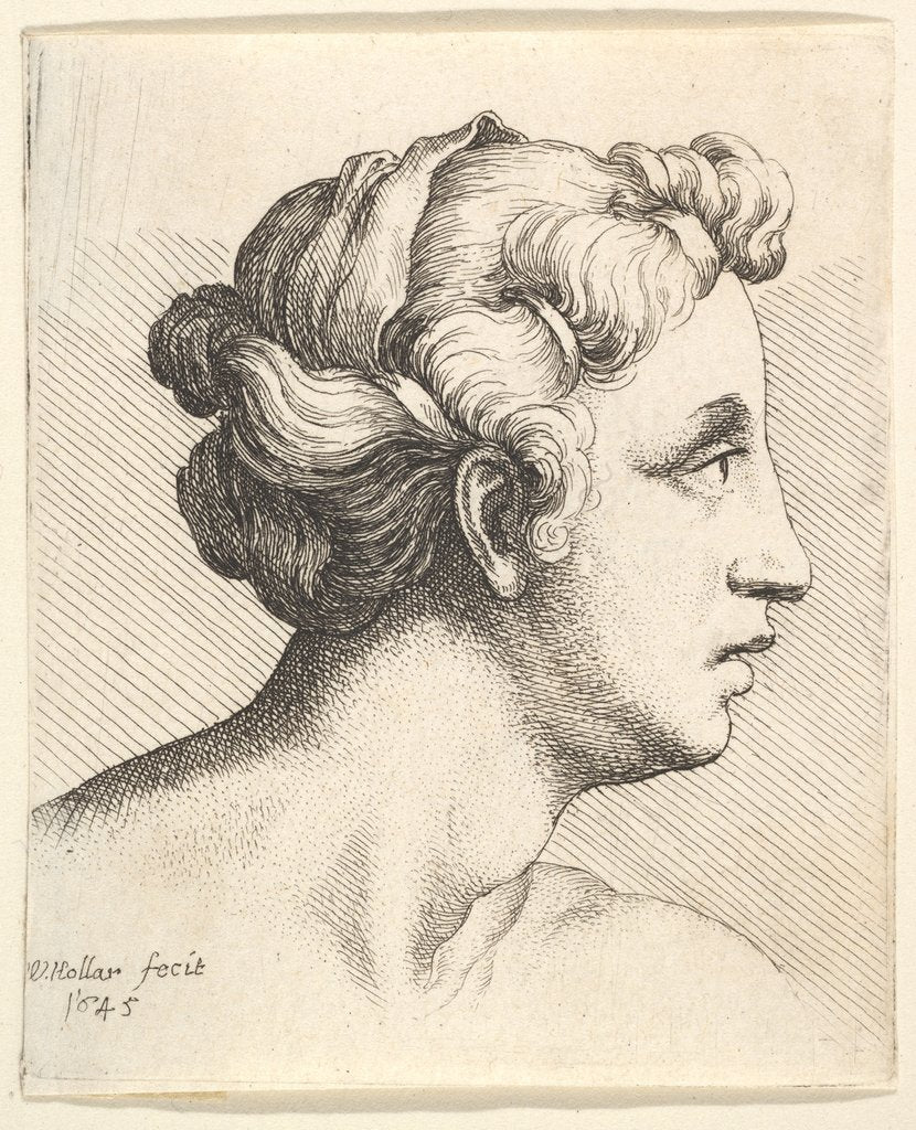 Detail of Woman with a bound tress of hair in profile to right, 1645 by Wenceslaus Hollar