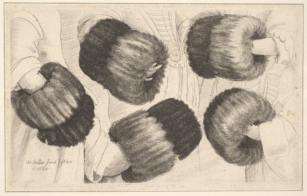 Detail of A Muff in Five Views, 1645-46 by Wenceslaus Hollar