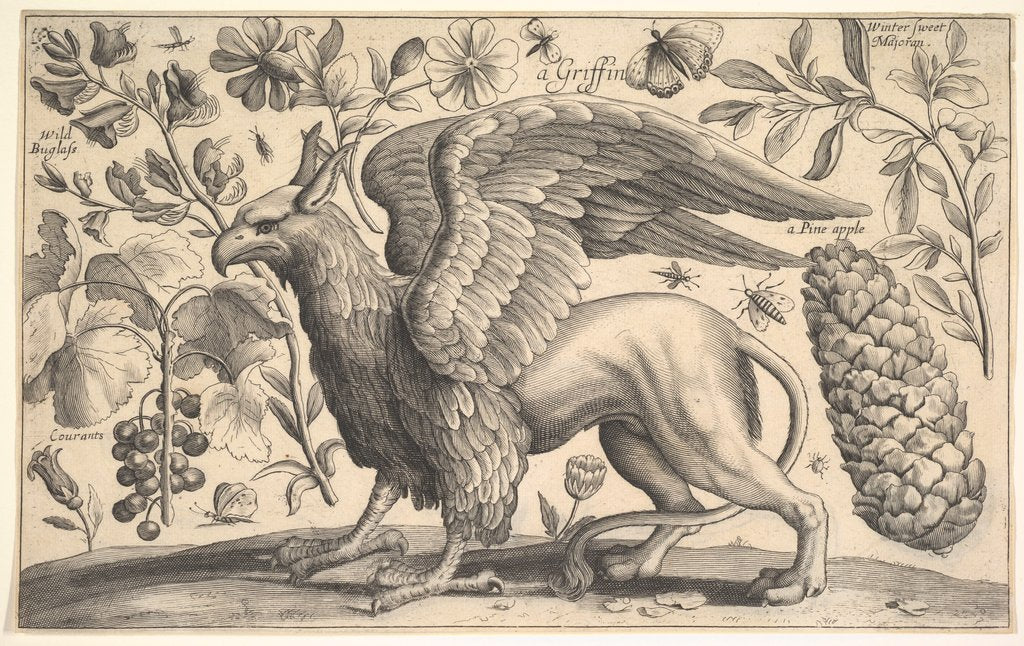 A Griffin, 1625-77 by Wenceslaus Hollar