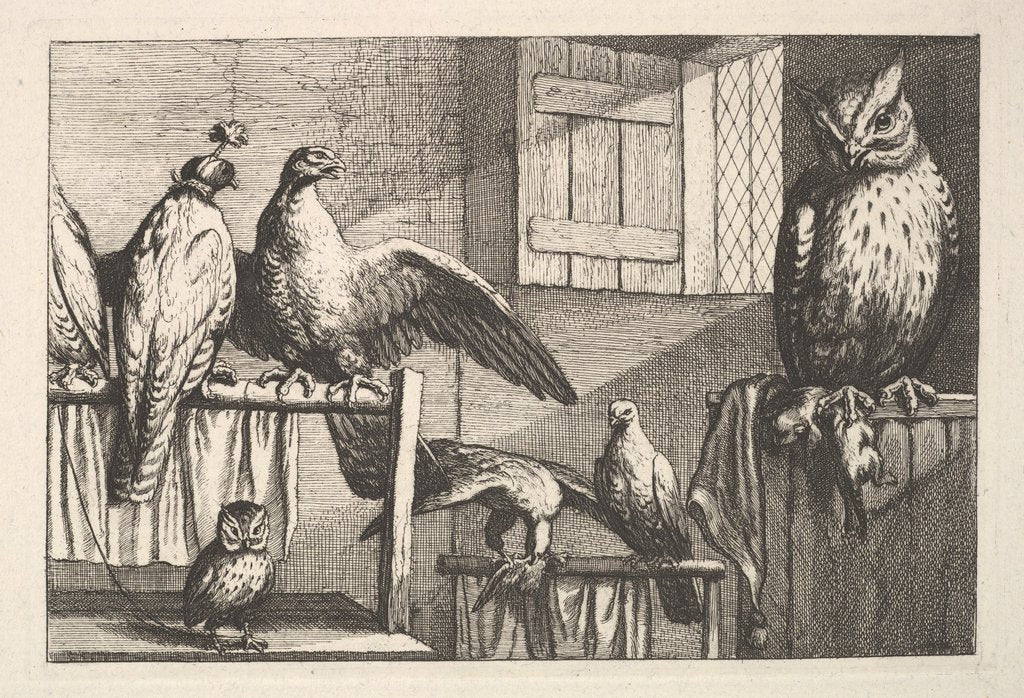 Detail of Hawks and owls, 1625-77 by Wenceslaus Hollar