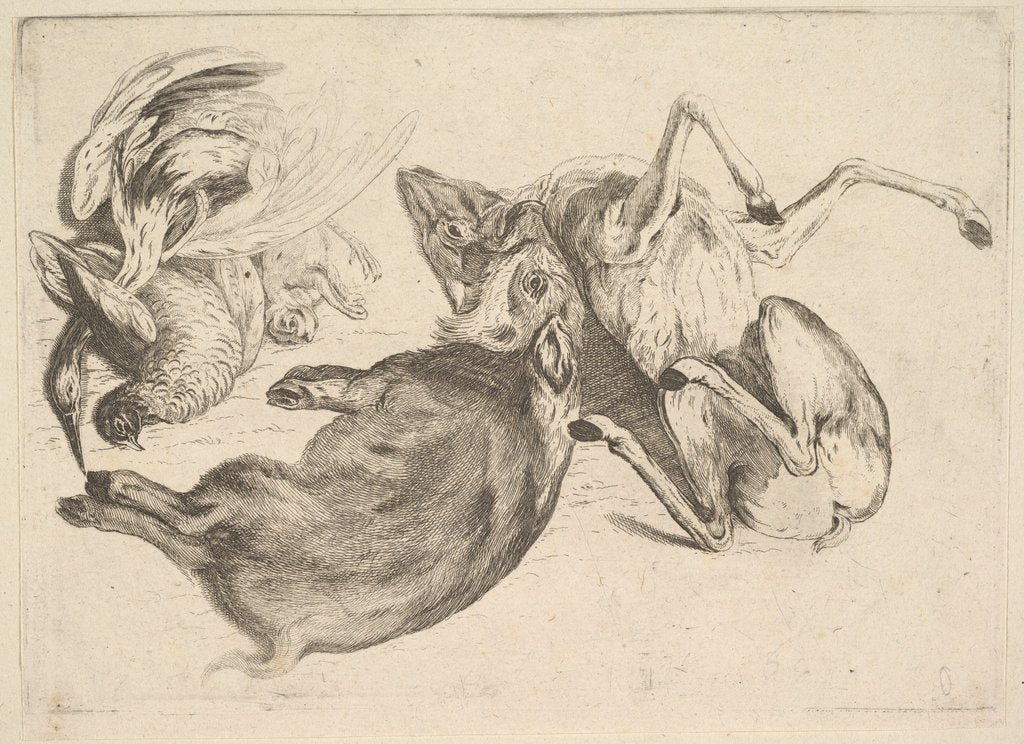 Detail of Boar, deer, heron and other game, 1625-77 by Wenceslaus Hollar