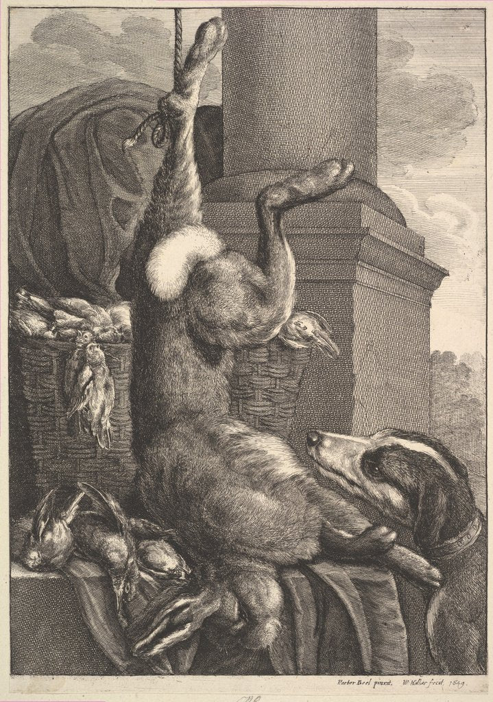 Detail of The Dead Hare, 1649 by Wenceslaus Hollar