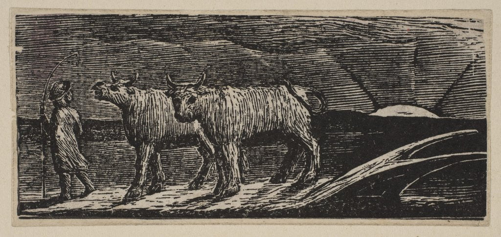 Detail of Unyok'd Heifers, Loitering Homeward, from Thornton's Pastorals of Virgil, 1821 by William Blake