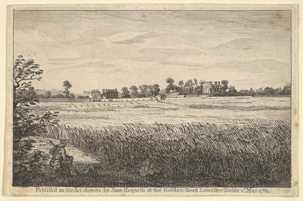 Detail of View of Ranby's House, May 1, 1781 by William Hogarth