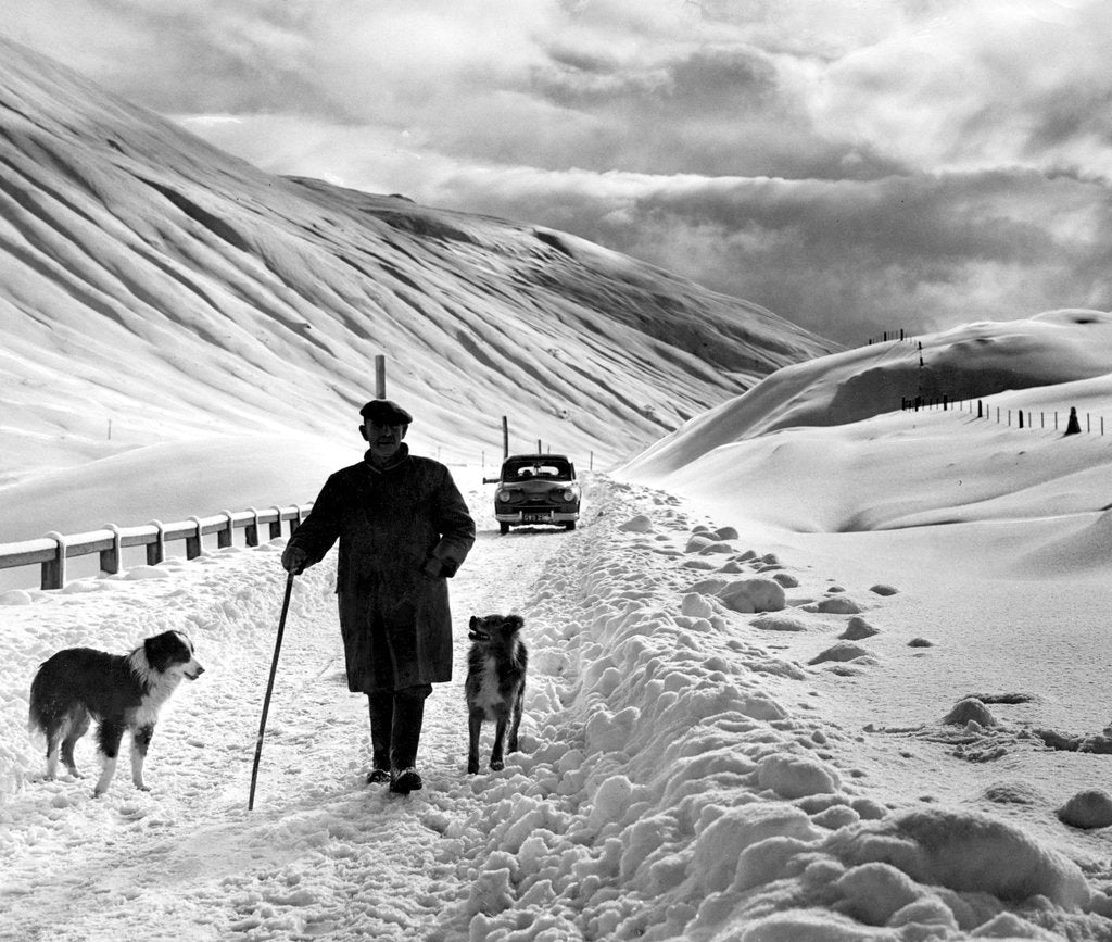 Detail of A shepherd in the snow by Associated Newspapers