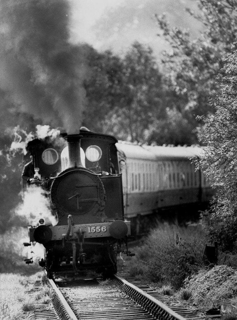 Detail of Kent and East Sussex Light Railway by Associated Newspapers