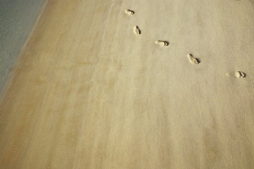 Detail of Aerial shot of footprints in wet sand by Anonymous