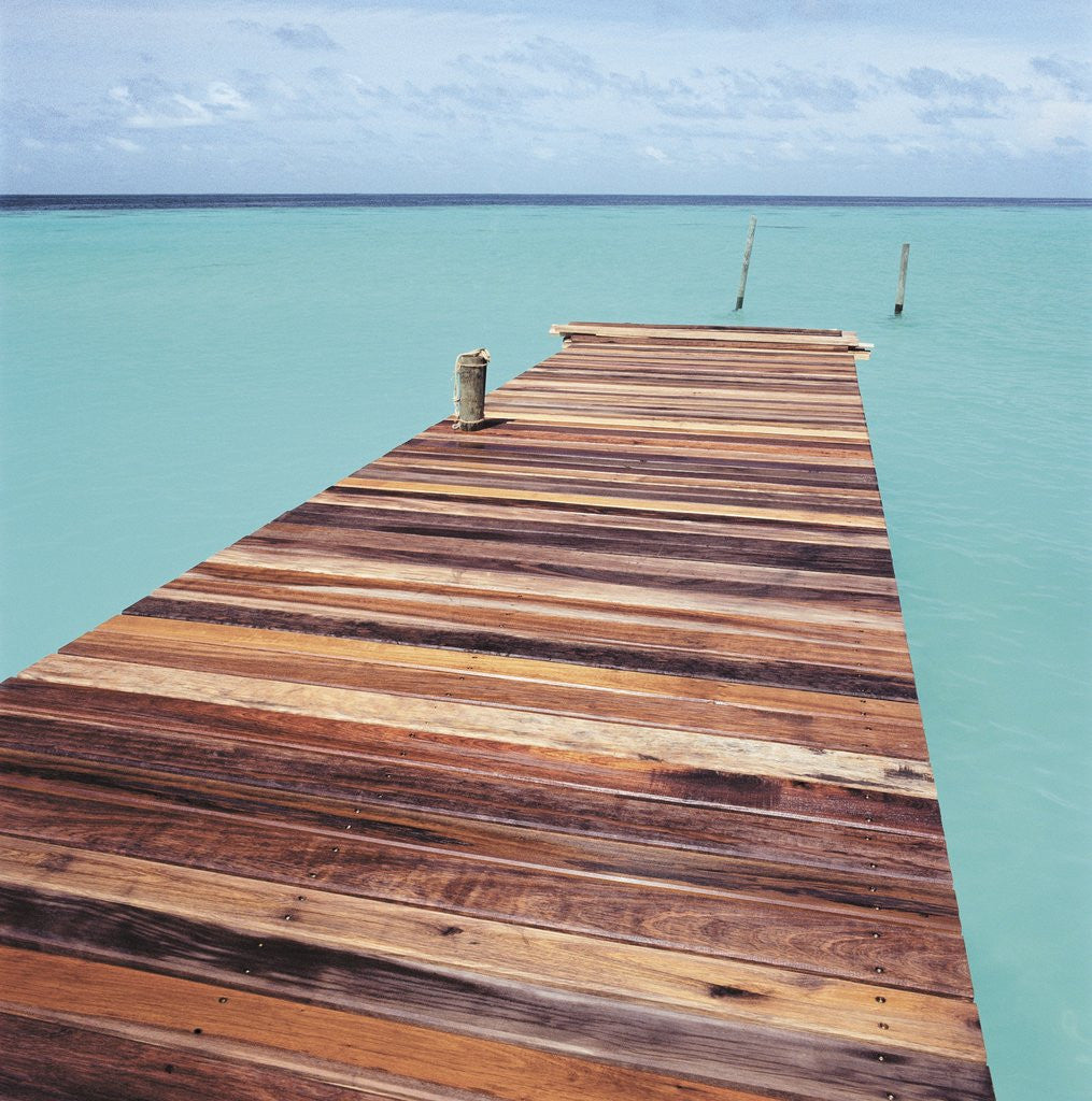 Detail of Wooden jetty leading out to sea by Anonymous