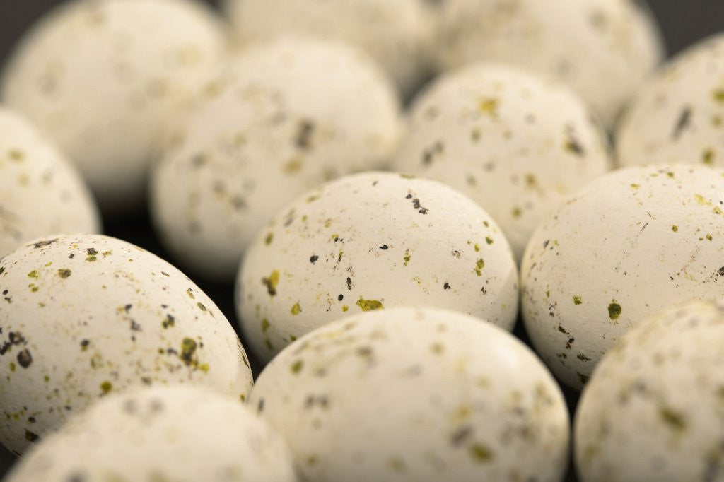 Detail of Chocolate Easter eggs by Anonymous