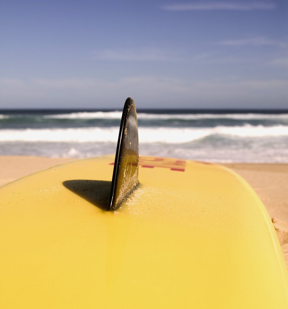 Detail of Lifeguard's Surfboard on Beach by Anonymous