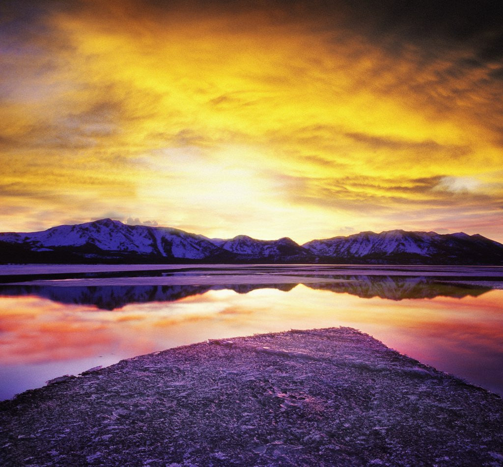 Detail of USA, California, Lake Tahoe at sunset by Anonymous