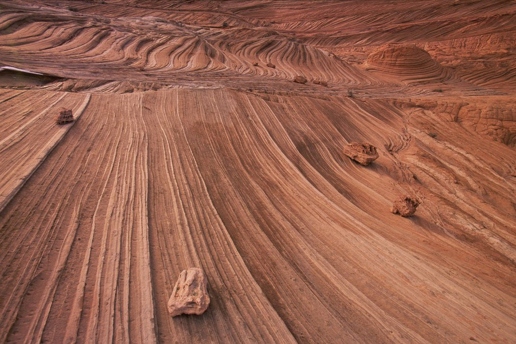 Sandstone Formations: Folds, Waves and Boulders by Corbis
