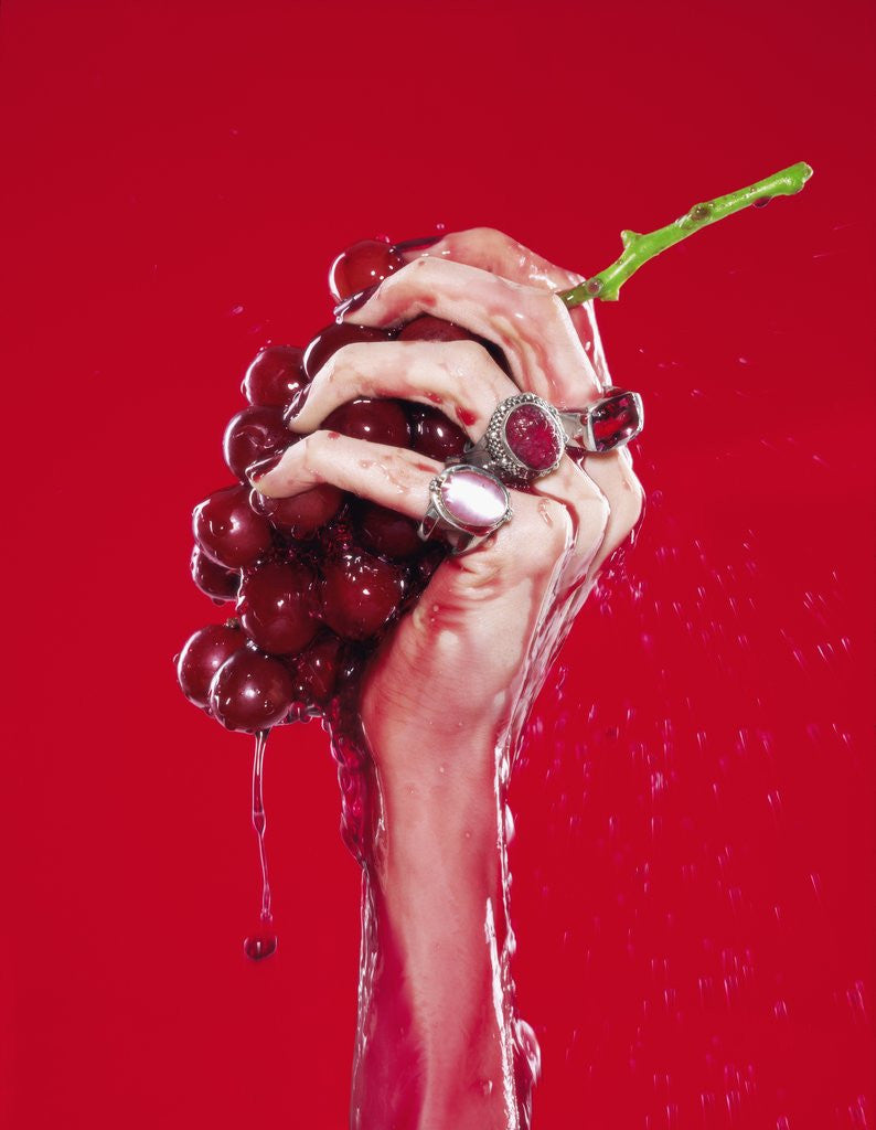 Detail of Woman's Hand Squeezing Red Grapes by Anonymous