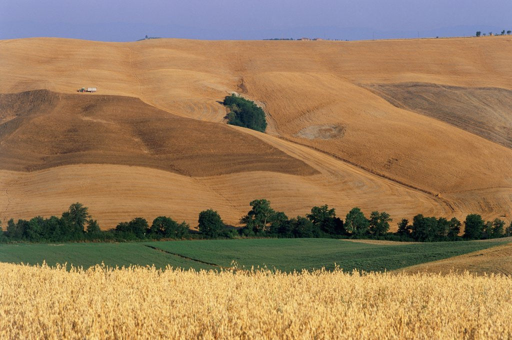 Detail of Italy, Tuscany, Crete Senesi by Anonymous
