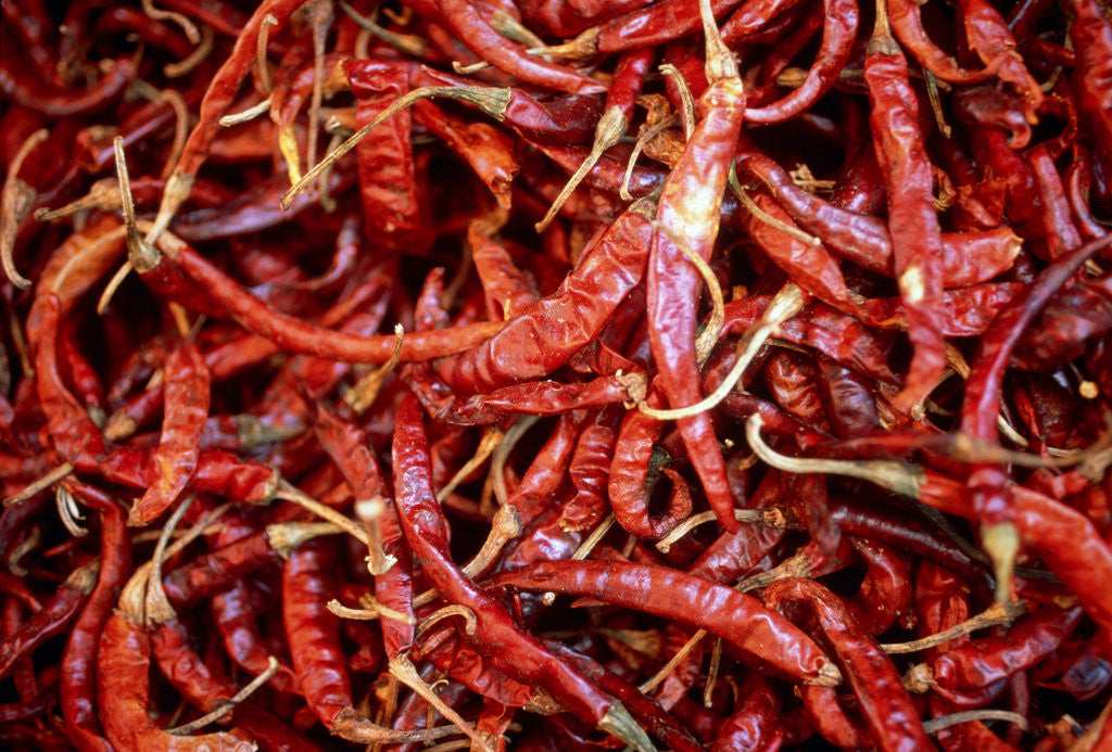 Detail of Red chili peppers (Ocotlan market, Oaxaca, Mexico) by Anonymous