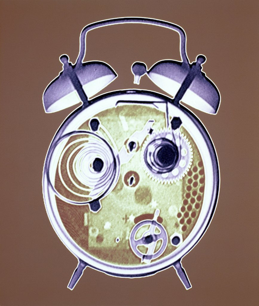Detail of Cross-section of Alarm Clock by Anonymous