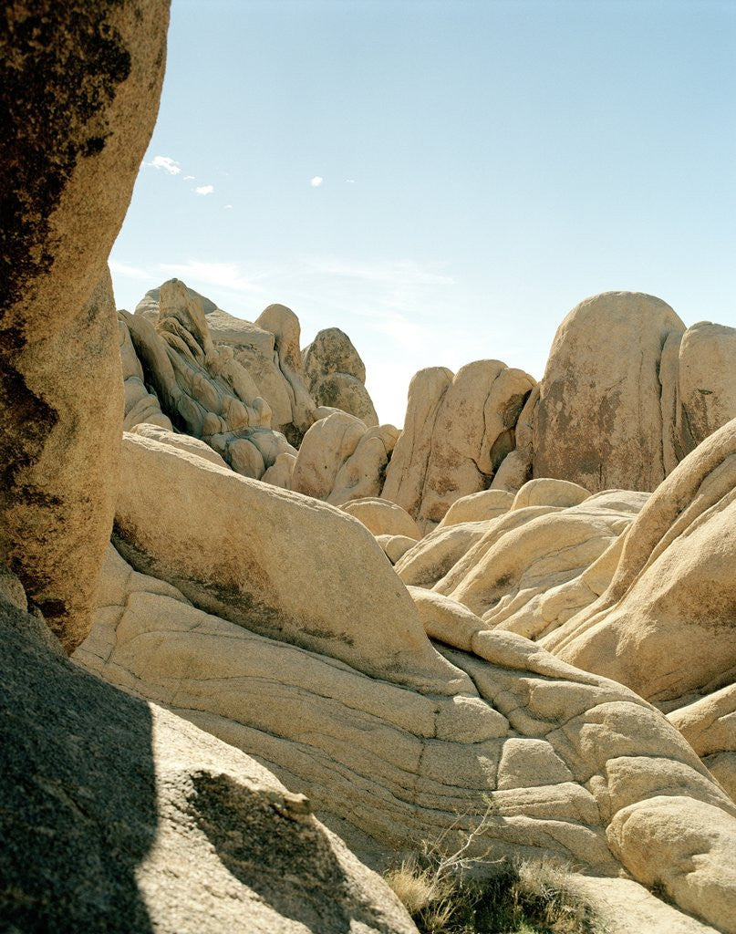 Detail of Stones, Joshua Tree National Park in southern california by Anonymous