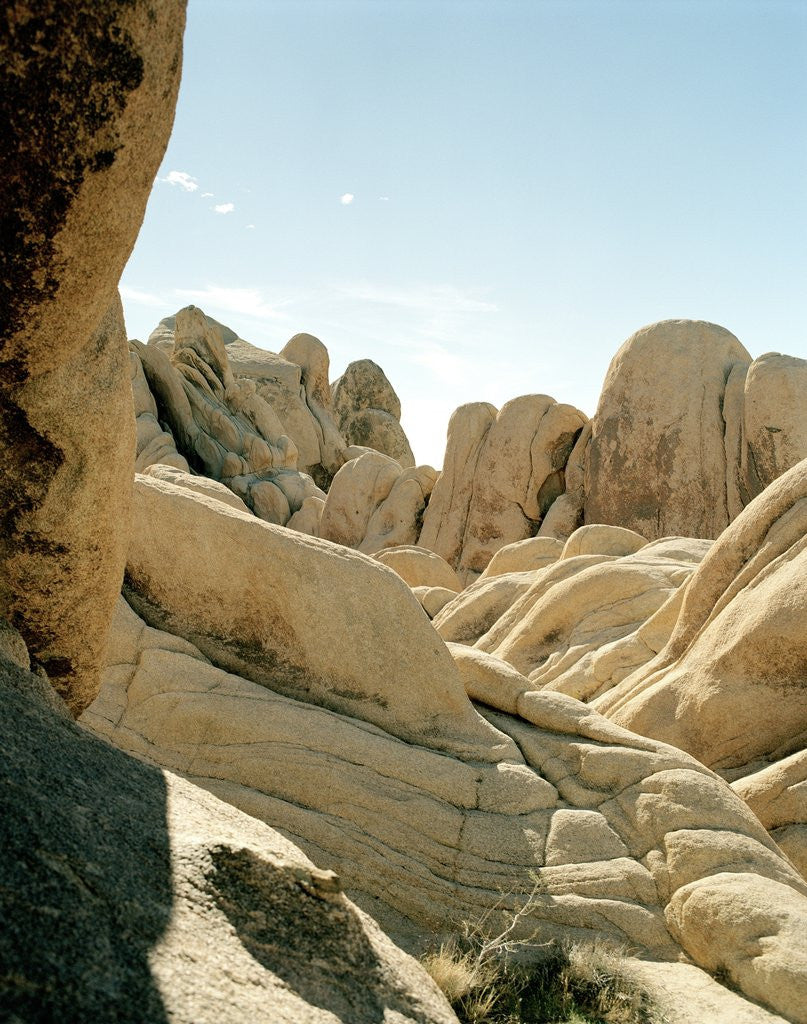 Detail of Stones, Joshua Tree National Park in southern california by Corbis
