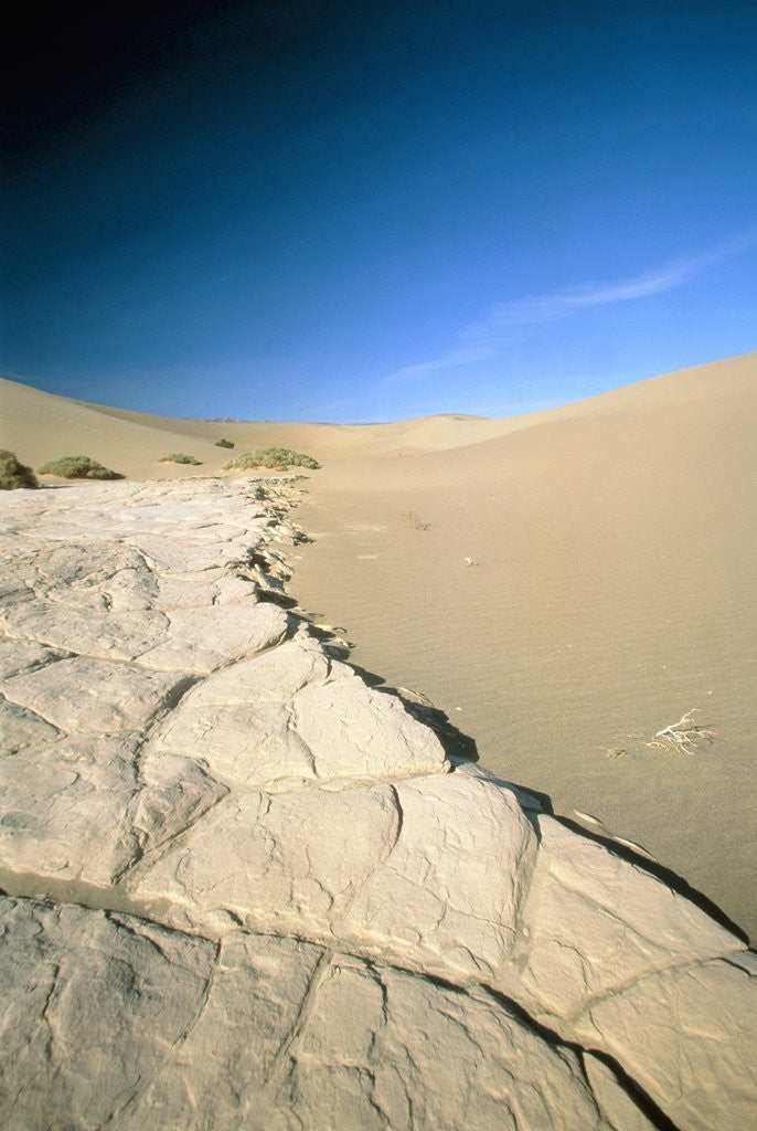 Detail of Stovepipe Wells, Death Valley, Nevada, USA by Anonymous