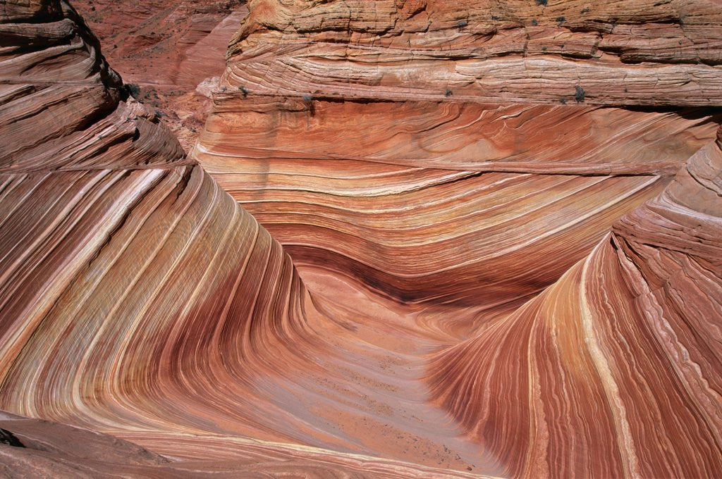 Detail of Rock, Paria Canyon, Utah, USA by Anonymous