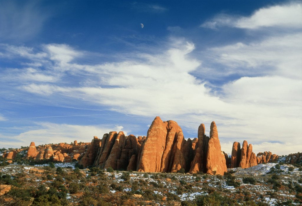 Detail of USA, Utah, Arches National Park by Anonymous