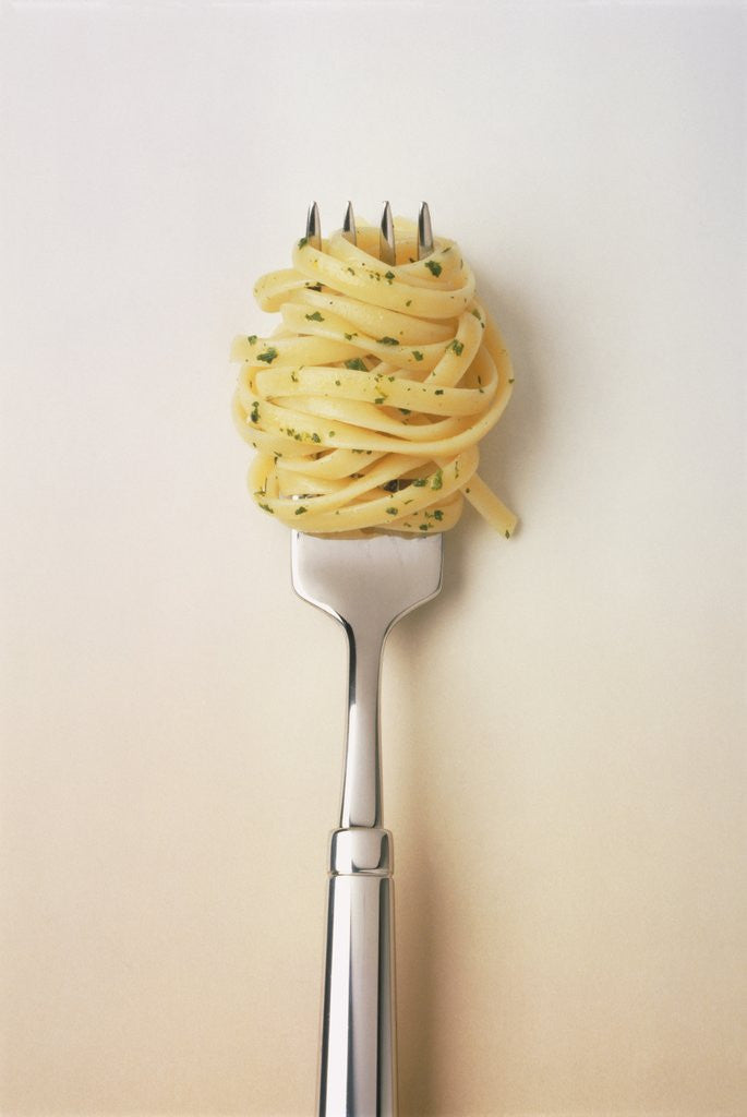 Detail of Fork with spaghetti by Anonymous