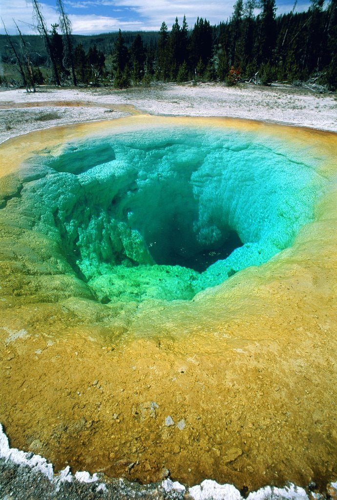 Detail of Morning Glory Pool, Yellowstone National Park, Wyoming by Anonymous
