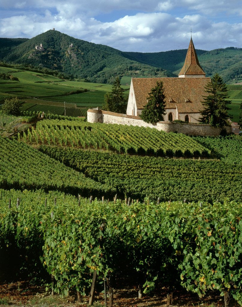 Detail of Agricultural scene, Hunawihr, Alsace-Lorraine, France by Anonymous