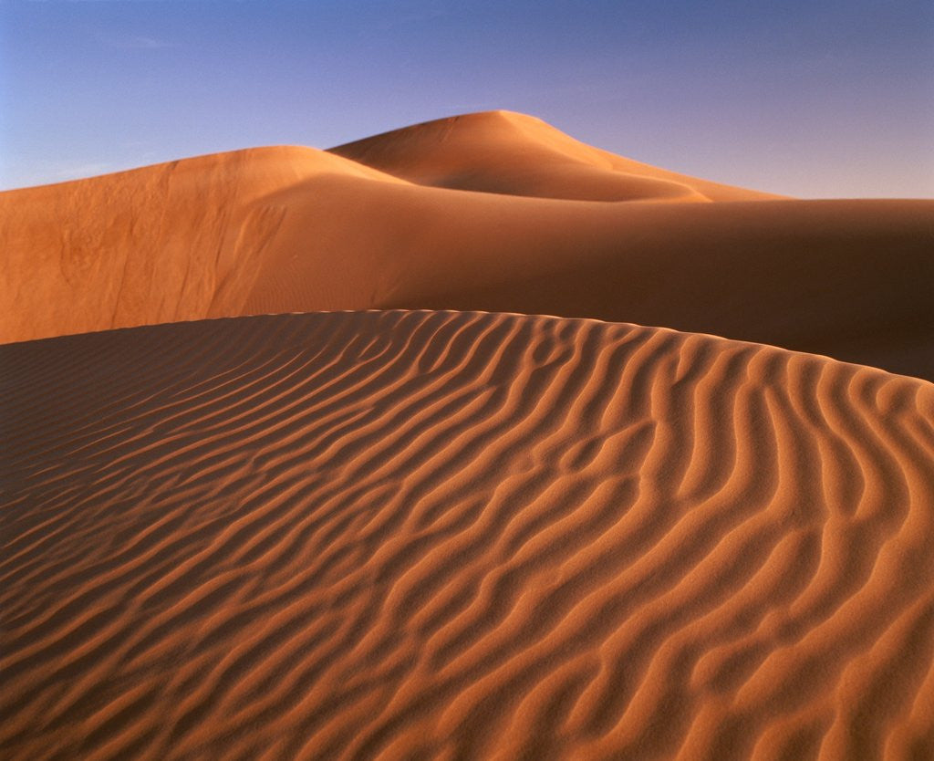 Detail of Dunes in the desert (Hatta, United Arab Emirates) by Anonymous